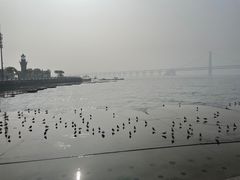 -星海广场
