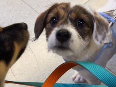 -赣南粉局·赣菜夜排档(新天地店)