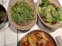 -MR鹅外
