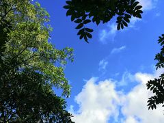 -白沙门生态公园