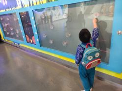 -北京科学中心儿童乐园