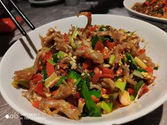 -壹盏灯(惠农店)