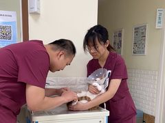 -美联众合动物医院·24h京西诊疗中心