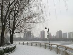 -莲花池公园