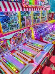 -莫莉幻想儿童乐园(北京丰台永旺店)