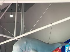 -悉尼海洋生物水族馆