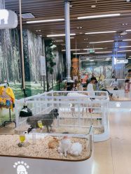 -小象动悟公园(龙湖亦庄天街店)