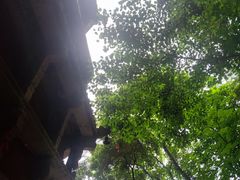 -宝通禅寺