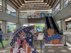 -申普宠物医院·心脏介入·心血管微创(总院)