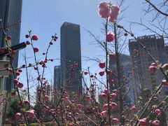 -大望京公园