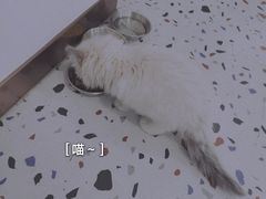 -FULL MOON满月咖啡