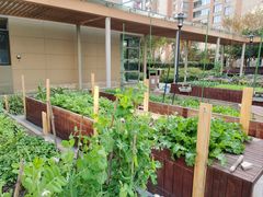 -梧桐人家中国太平国际健康颐养社区