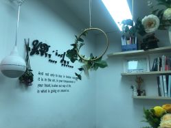-杨丹国际美学肌研所