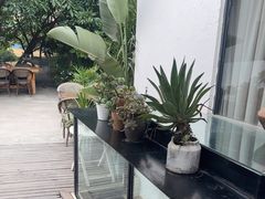 -云里小坐·小院里·团建·宴请·下午茶(三圣乡店)
