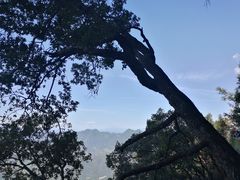 -塔云山