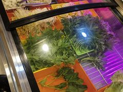 -虾大侠·盱眙龙虾老北京铜锅涮羊肉(金楠天街店)