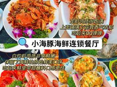 -亚龙湾热带天堂森林公园