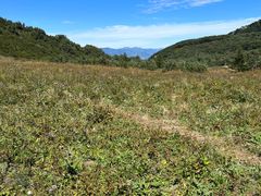 -白草畔自然风景区