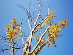 -苏州河梦清园环保主题公园