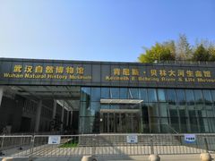 -长江文明馆