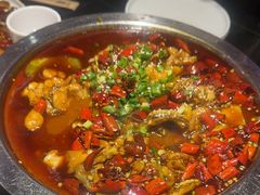 -美蛙四季(黄寺大街店)