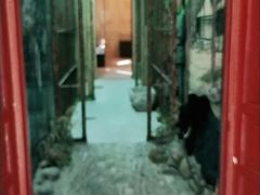 -北京动物园-畅观楼