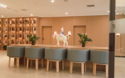 -千禧果月子会所(郑州东站店)