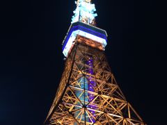 -东京塔海贼王主题公园