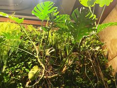 -HOME餐厅粤菜 融合菜