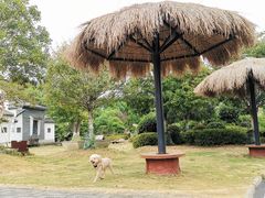 -武汉紫薇都市田园