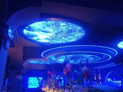 -古吉拉酒吧·蒲seven蹦