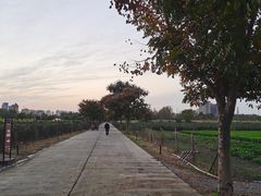 -汉长安城未央宫国家考古遗址公园