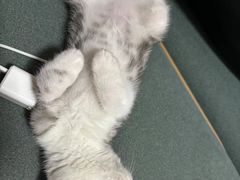 -贝来恩24H动物医院·转诊中心(稻香路店)