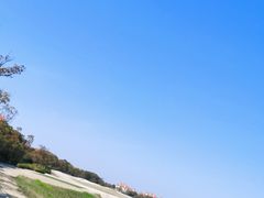 球场-棕榈滩海景高尔夫俱乐部