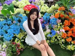 -洛阳白云山景区