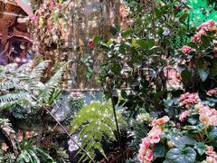 -正佳雨林生态植物园