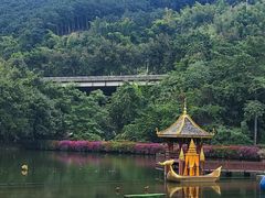 -西双版纳原始森林公园