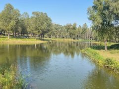 -东郊湿地公园
