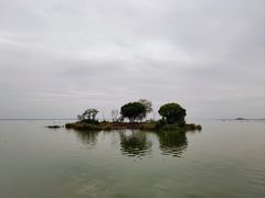 -滕州微山湖红荷湿地景区