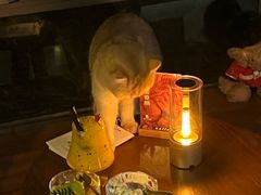 -咖法森林·咖啡  酒吧(天河店)