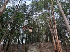 -高榜山景区