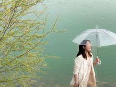 -羊山湖公园