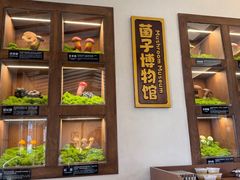 -菌自由丨野生菌火锅特色庭院餐厅(丽江古城店)