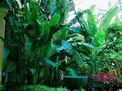 -西双版纳融创皇冠假日度假酒店