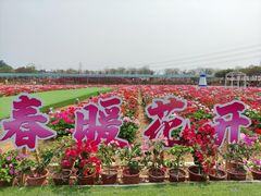 -盈香心动乐园