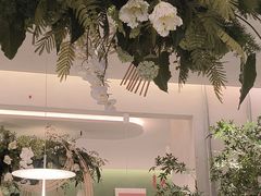 -Aqua Oasis 水天堂(太湖中心mall店)