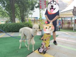 -萌宠亲子动物乐园(槐房万达店)