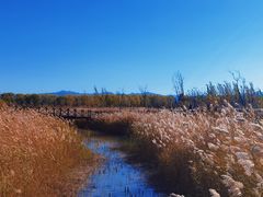 -野鸭湖国家湿地公园