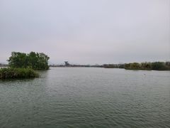 -芒洲湿地公园
