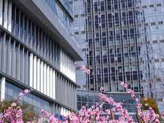 -天鹅湖体育公园